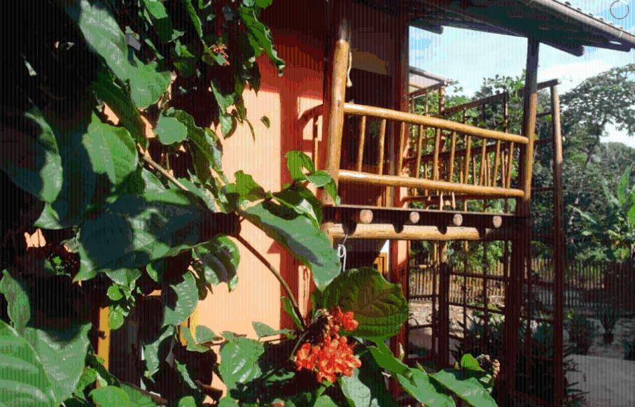 Апартаменти Concha Tropical Flat Ітакаре Екстер'єр фото