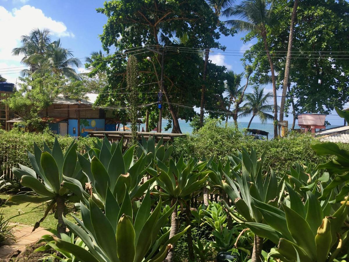 Апартаменти Concha Tropical Flat Ітакаре Екстер'єр фото